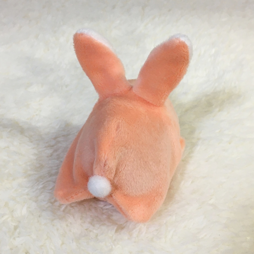 もちマスミニ着ぐるみ うさぎ サーモンピンク