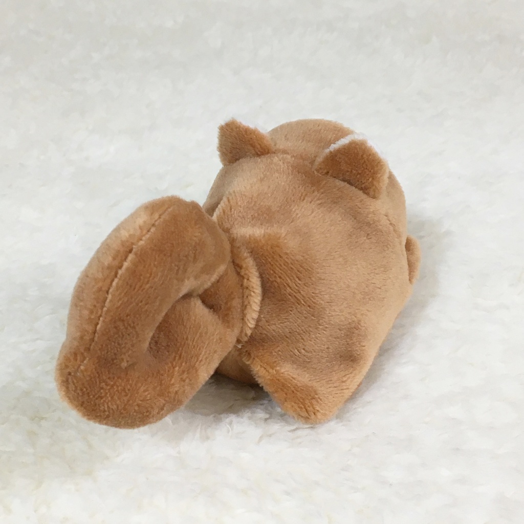 もちマスミニ着ぐるみ りす ライトブラウン