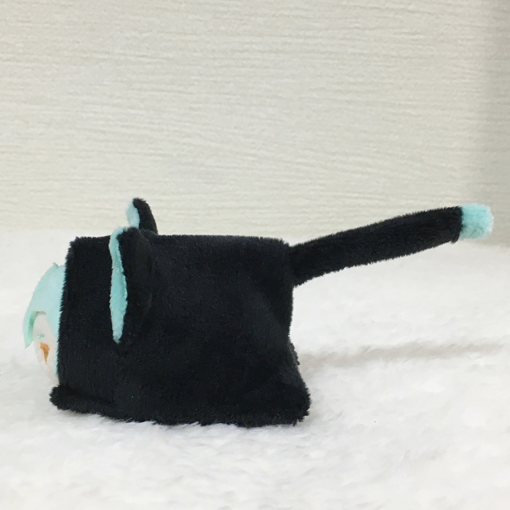 もちマスミニ着ぐるみ ねこ ブラック&ミントグリーン