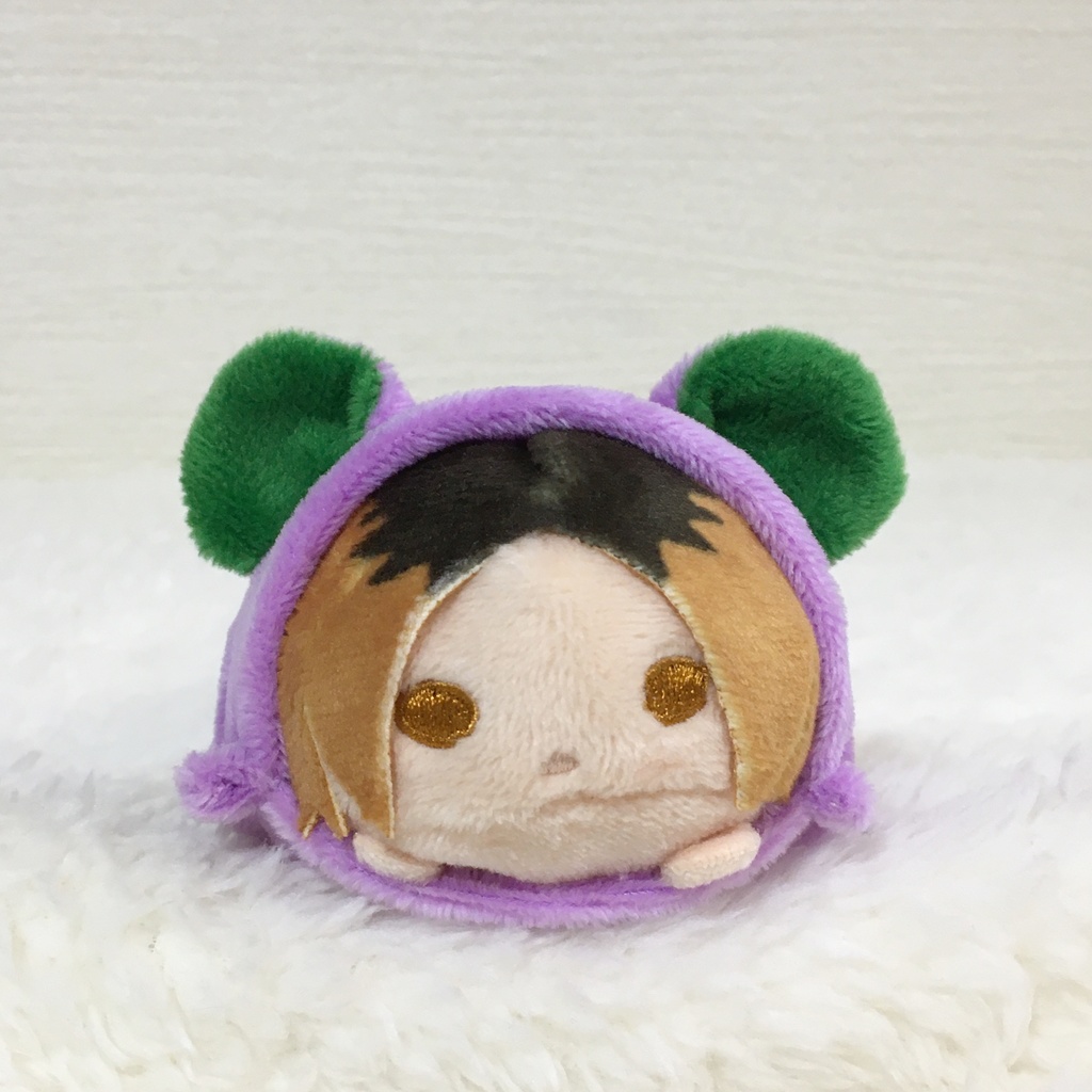 のるキャラ着ぐるみ たぬき パープル&グリーン