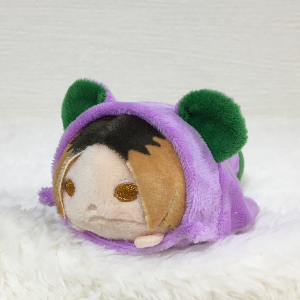 のるキャラ着ぐるみ たぬき パープル&グリーン