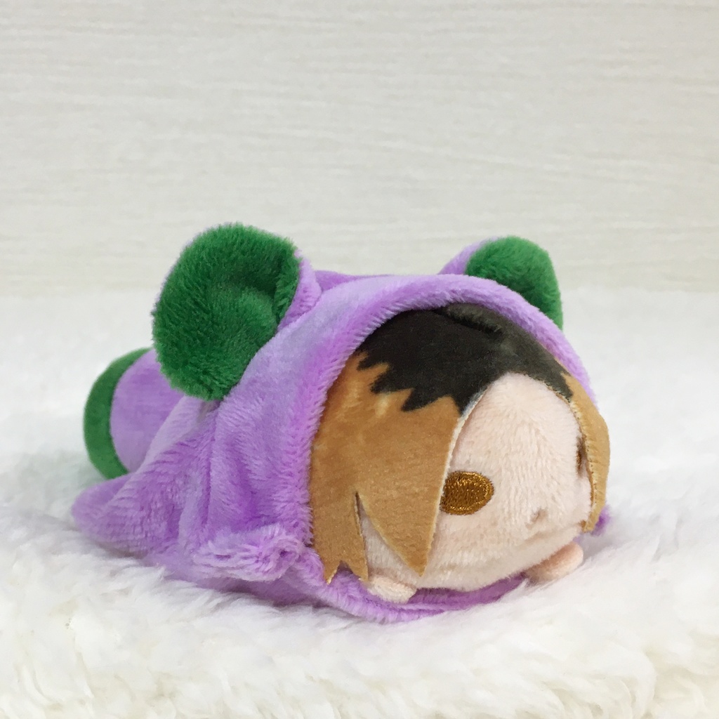 のるキャラ着ぐるみ たぬき パープル&グリーン