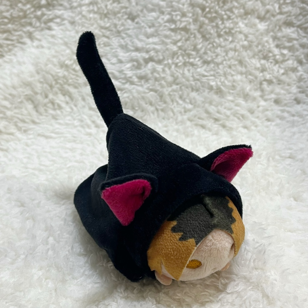 のるキャラ着ぐるみ　ねこ　ブラック＆ローズピンク