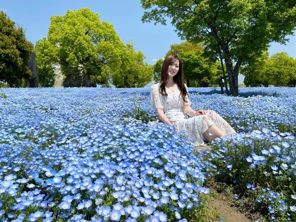 季節のお花シリーズ