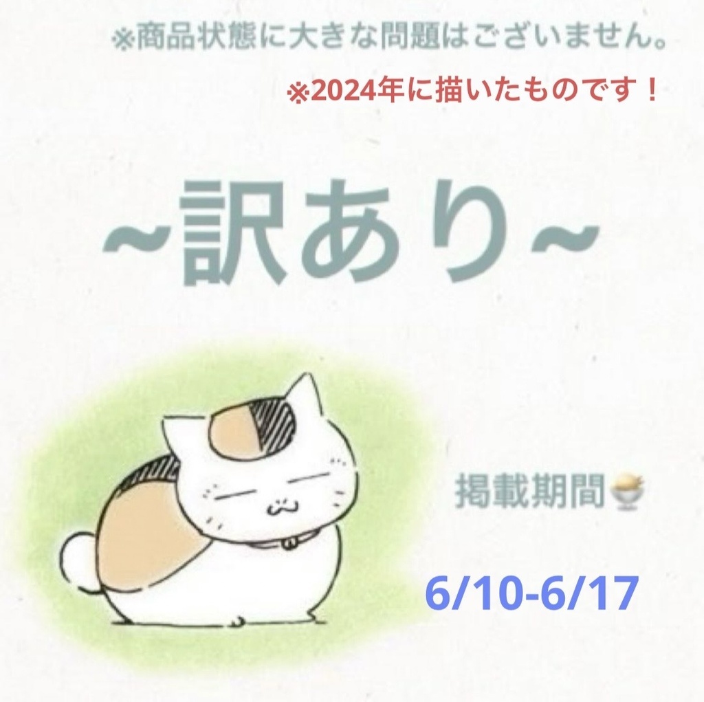 ★訳あり/スタレ　花火　色紙イラスト