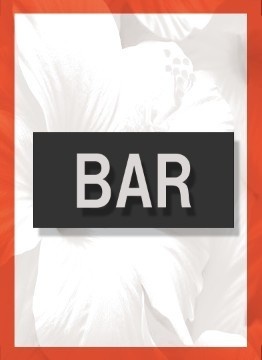 回胴盤上遊技 扶桑花札