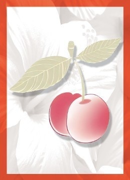 回胴盤上遊技 扶桑花札