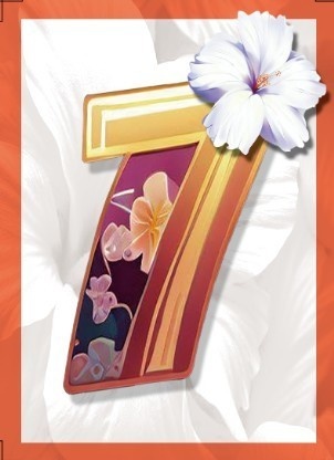 回胴盤上遊技 扶桑花札