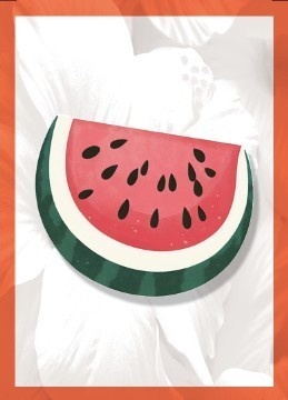 回胴盤上遊技 扶桑花札