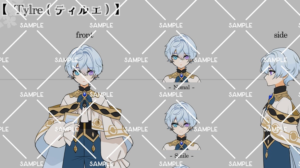 Tylre~song of memories~