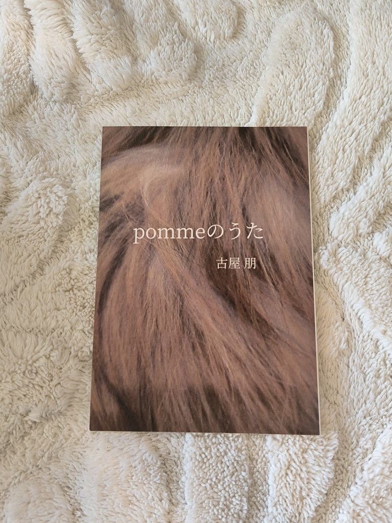 古屋朋「pommeのうた」