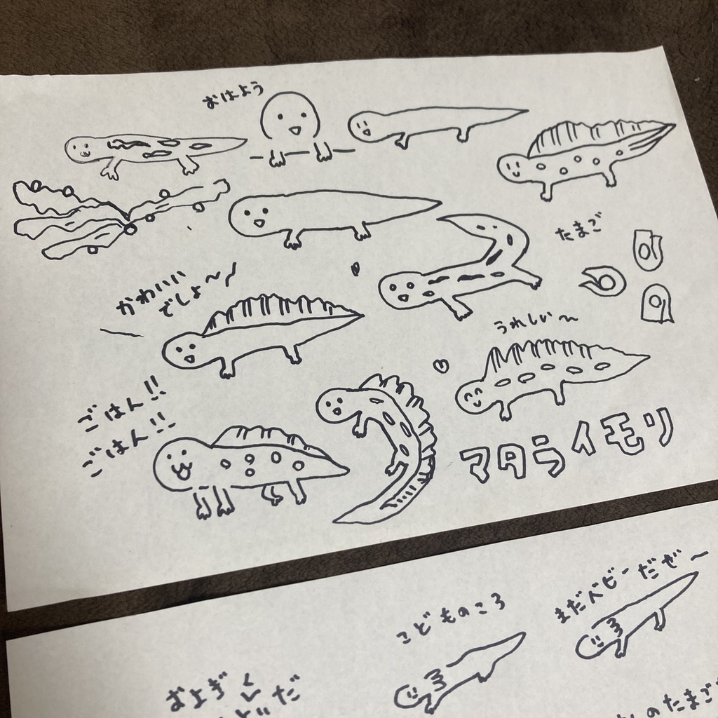 【限定1商品】イモリブリーダーの1日の原画