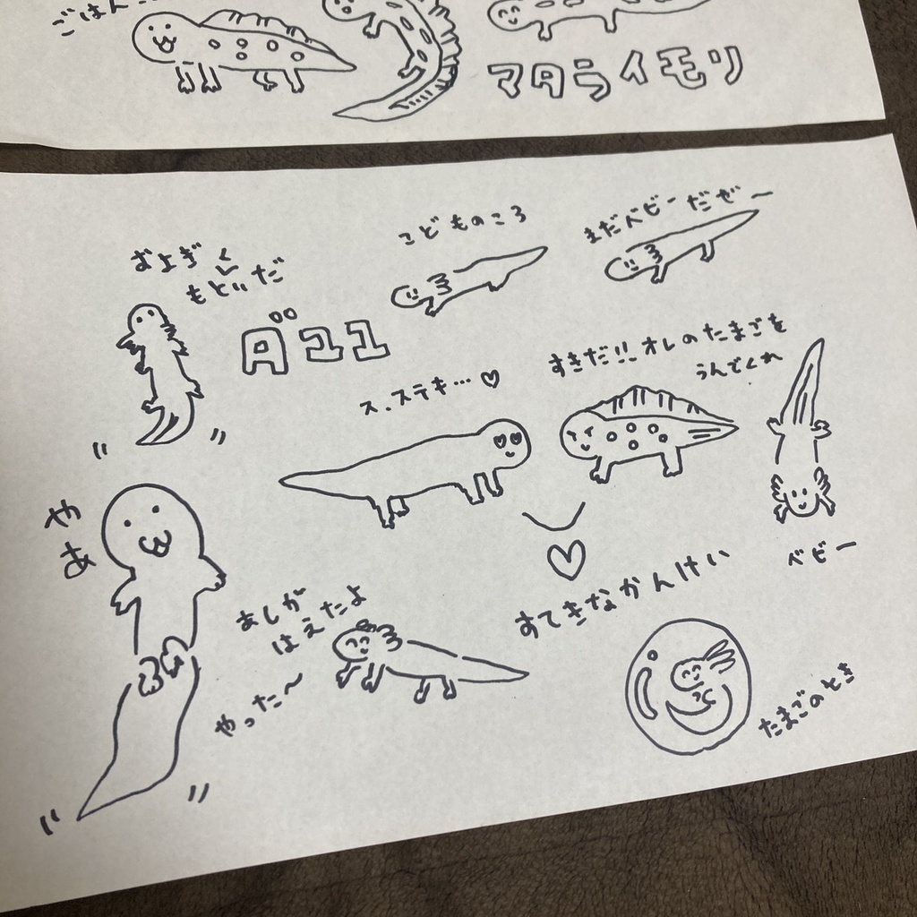 【限定1商品】イモリブリーダーの1日の原画