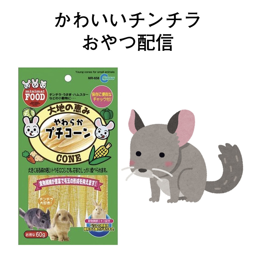 限定画像 と チンチラと楽しむヤングコーンおやつライブ配信