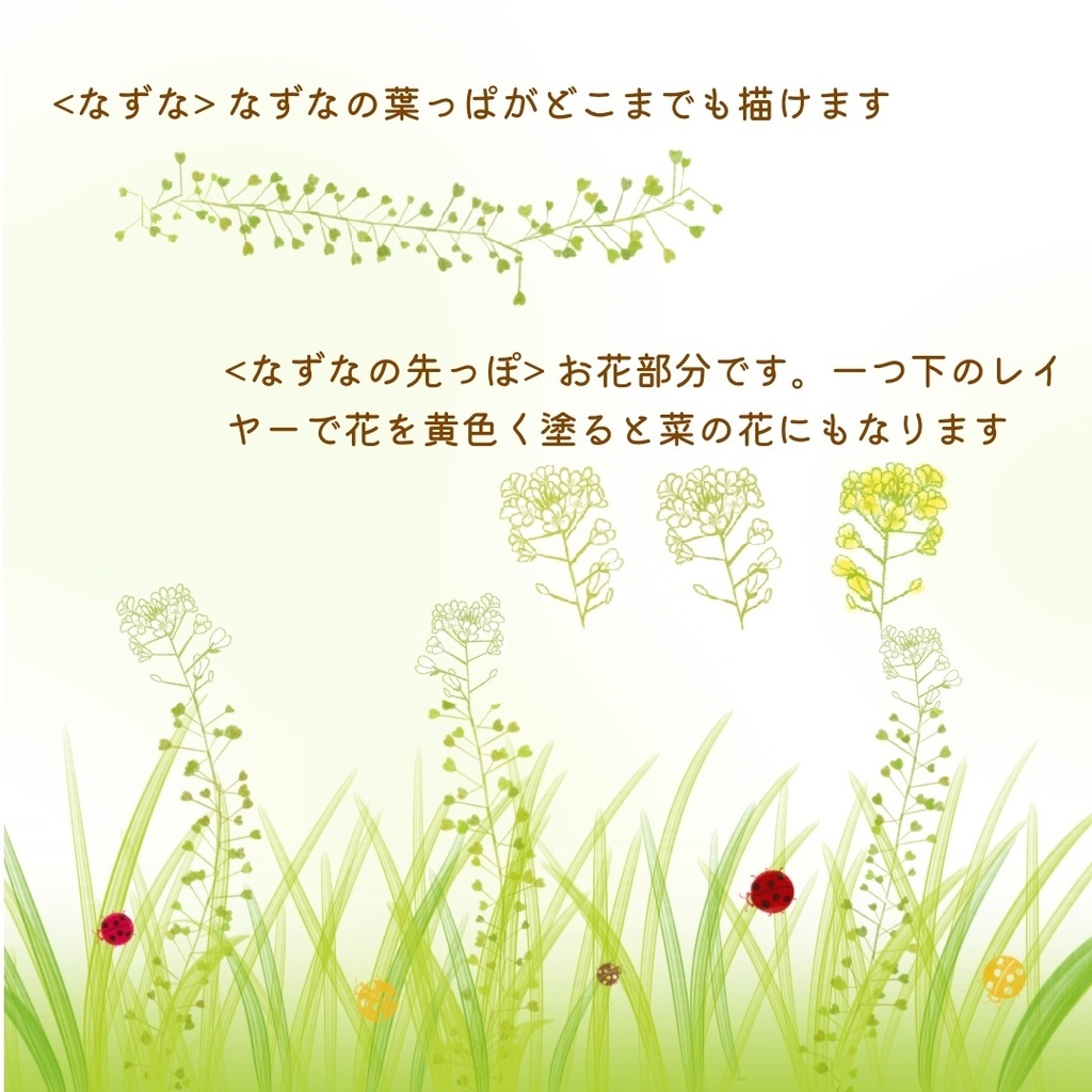 絵になる植物(春)ブラシ18本セット/procreate専用ブラシ