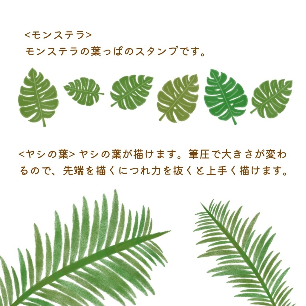 絵になる夏の植物ブラシ21本セット/procreate専用ブラシ