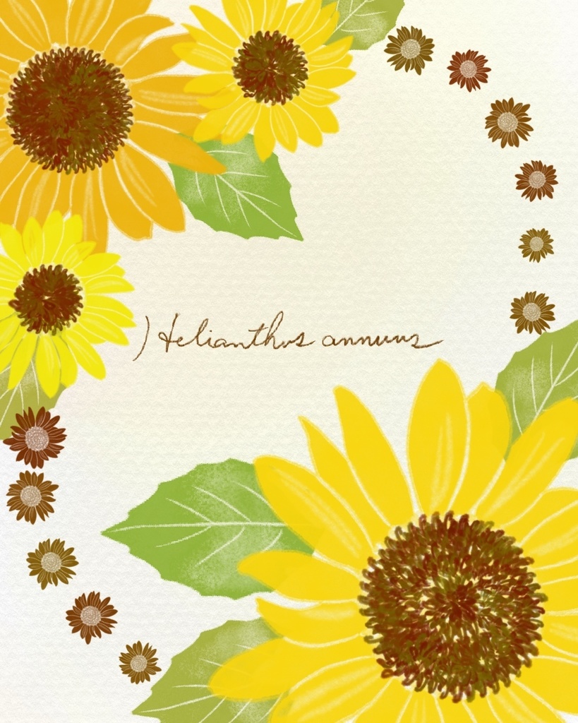 絵になる夏の植物ブラシ21本セット/procreate専用ブラシ