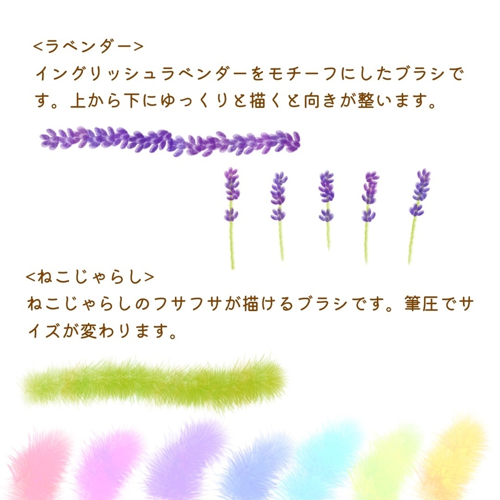 絵になる夏の植物ブラシ21本セット/procreate専用ブラシ