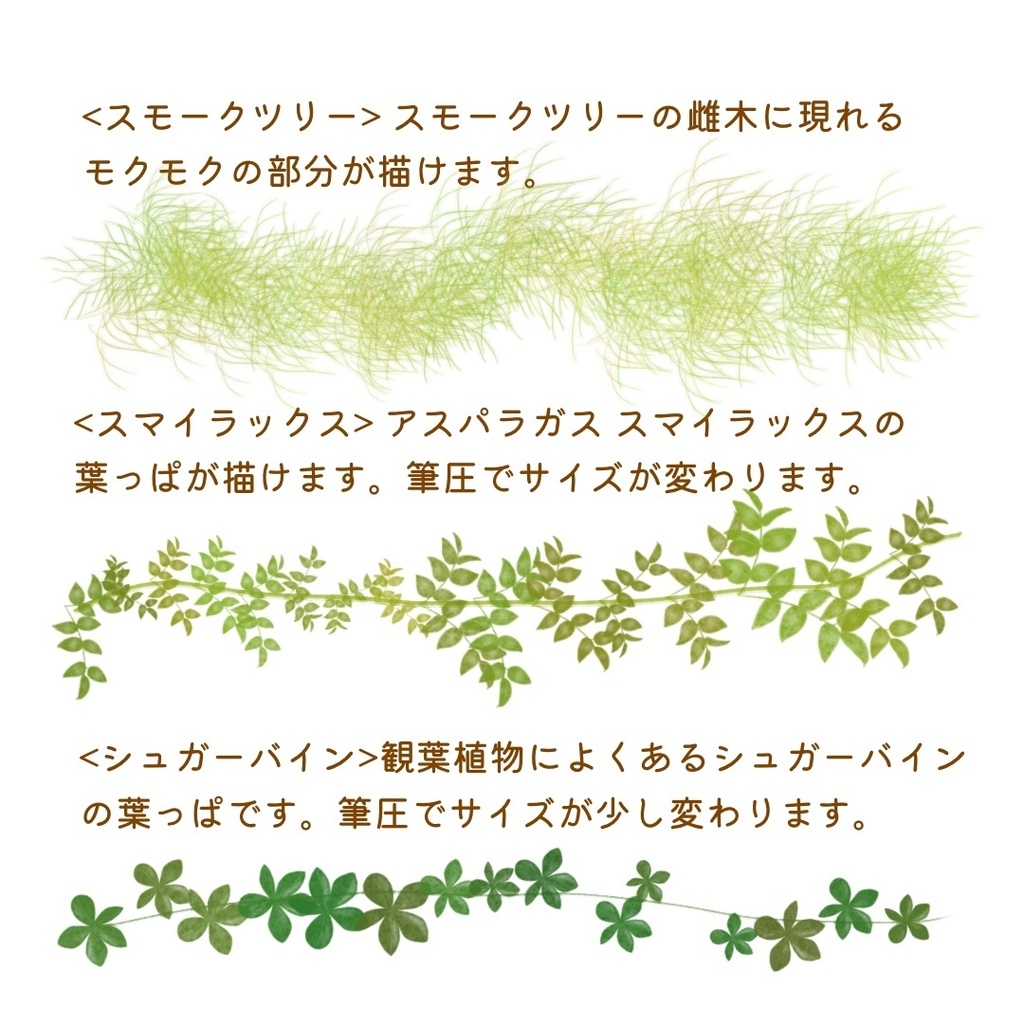 絵になる夏の植物ブラシ21本セット/procreate専用ブラシ