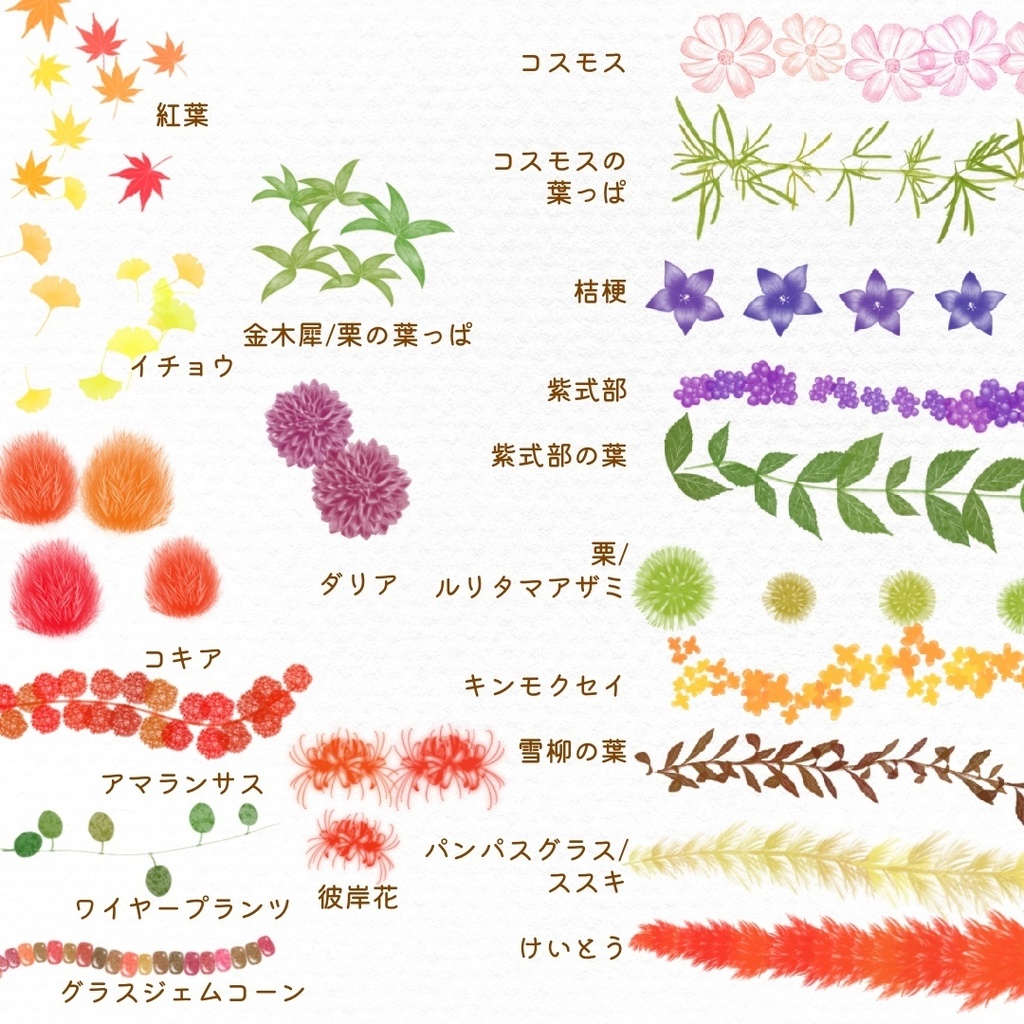 絵になる秋の植物ブラシ19本セット/procreate専用ブラシ