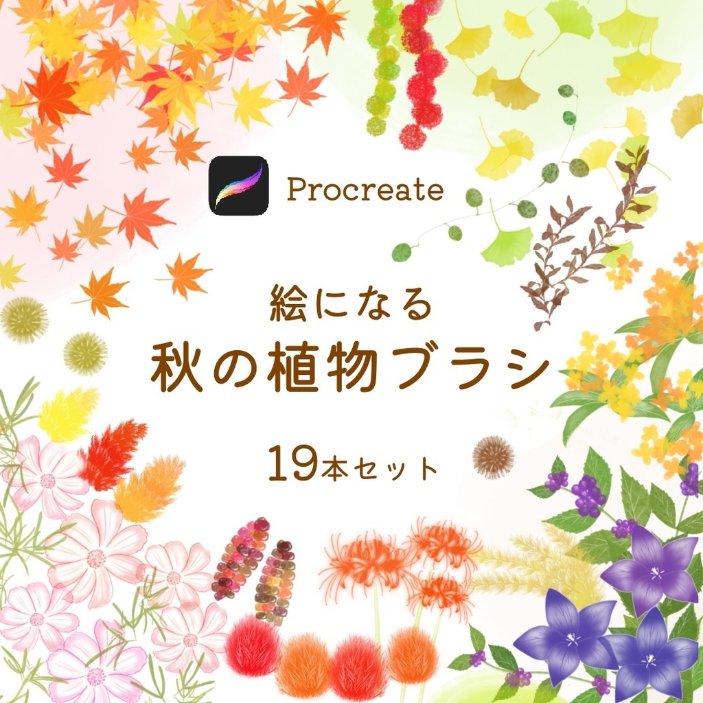 絵になる秋の植物ブラシ19本セット/procreate専用ブラシ