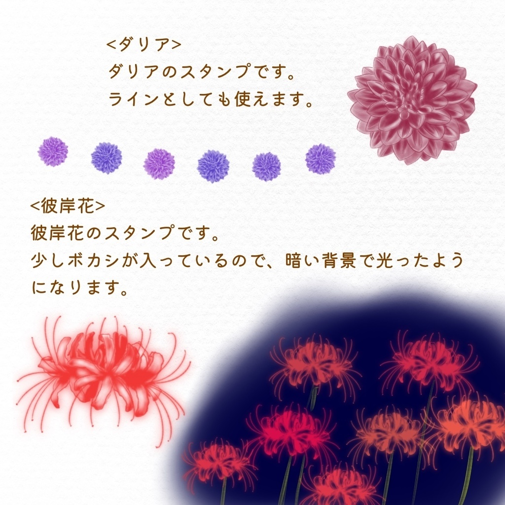 絵になる秋の植物ブラシ19本セット/procreate専用ブラシ