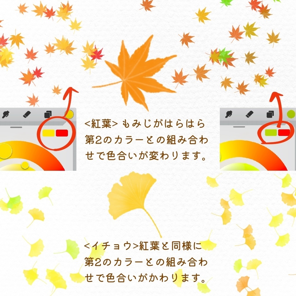 絵になる秋の植物ブラシ19本セット/procreate専用ブラシ