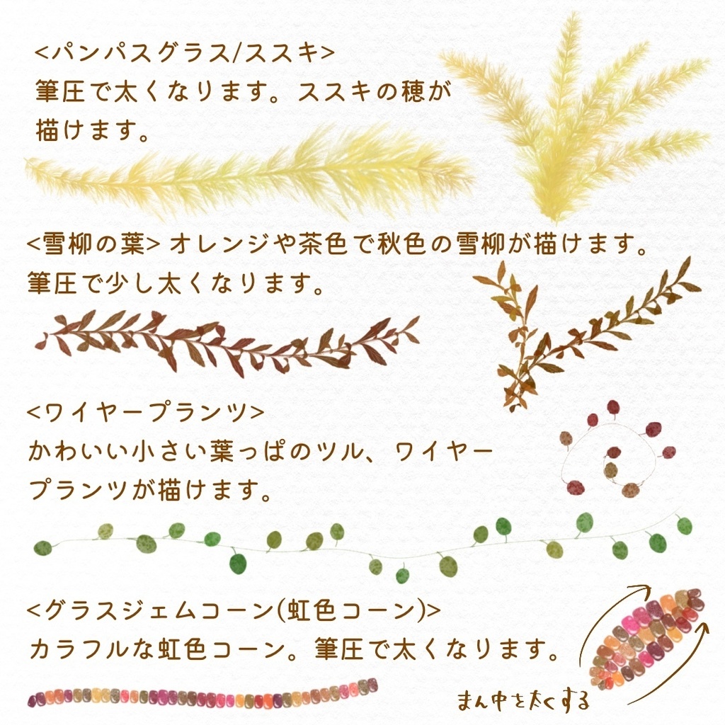 絵になる秋の植物ブラシ19本セット/procreate専用ブラシ