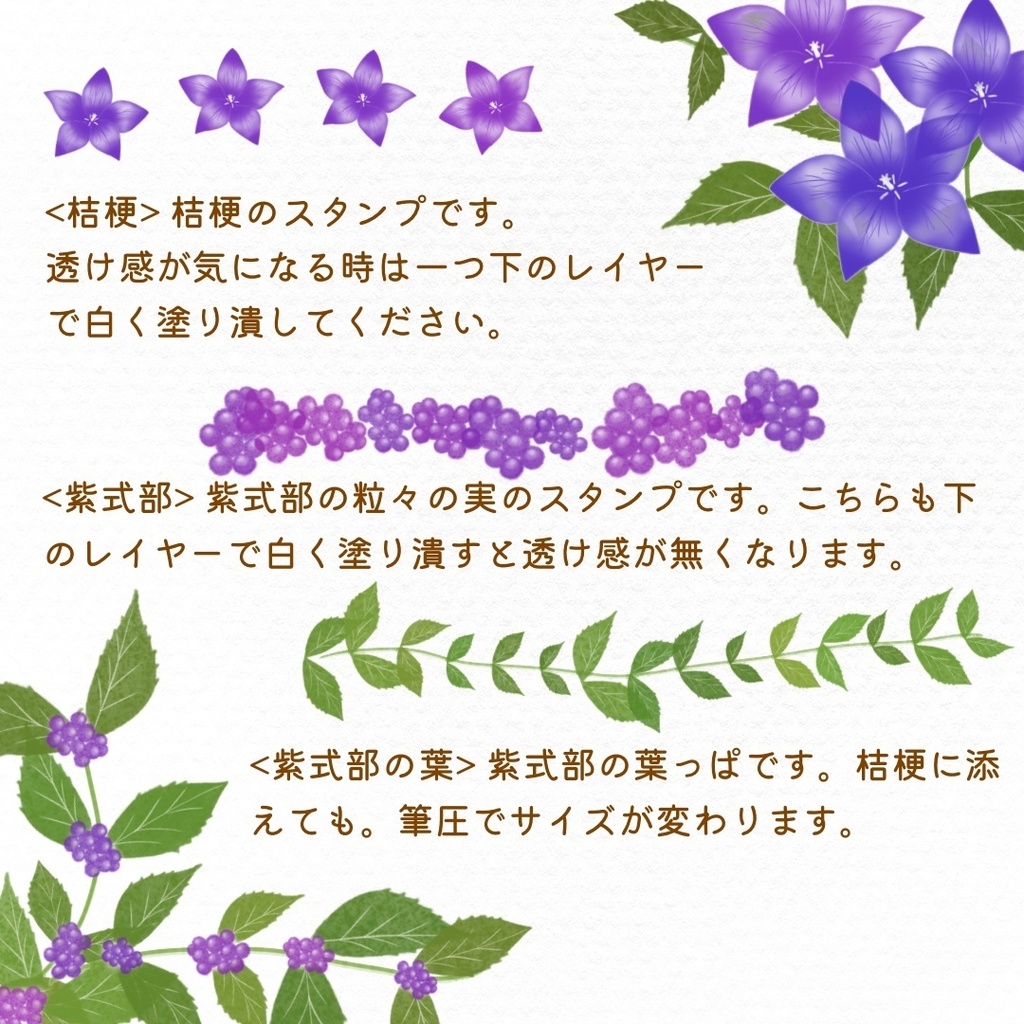 絵になる秋の植物ブラシ19本セット/procreate専用ブラシ