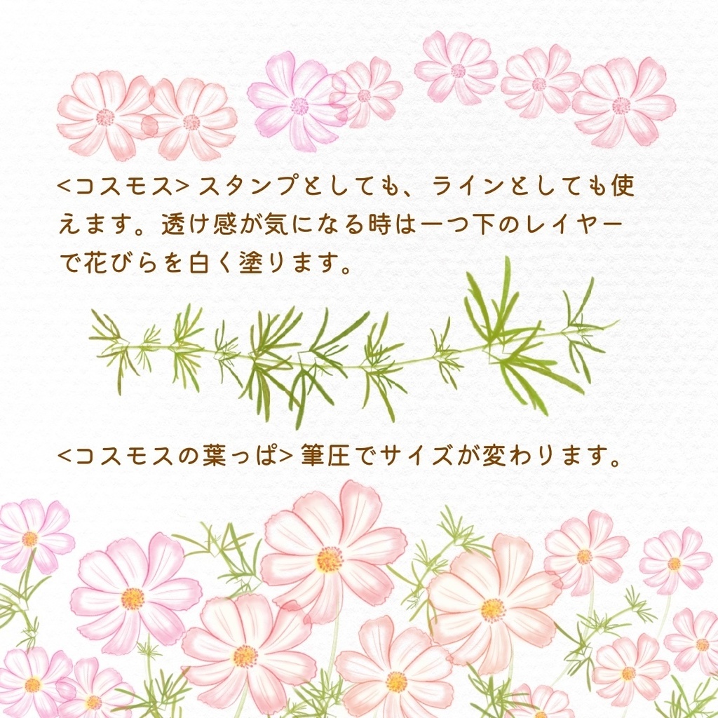 絵になる秋の植物ブラシ19本セット/procreate専用ブラシ