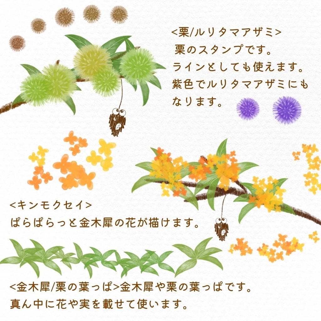 絵になる秋の植物ブラシ19本セット/procreate専用ブラシ