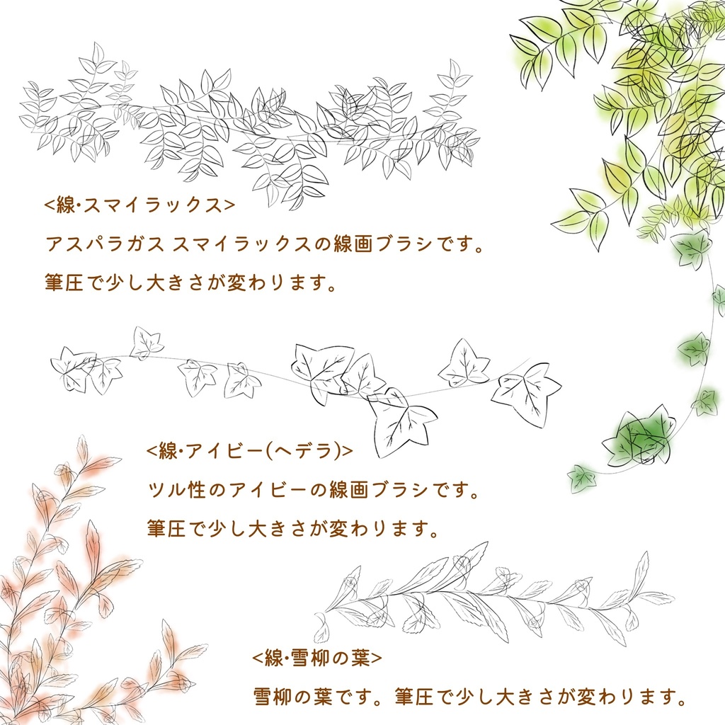 絵になる植物ブラシ(線画)23本セット/procreate専用ブラシ