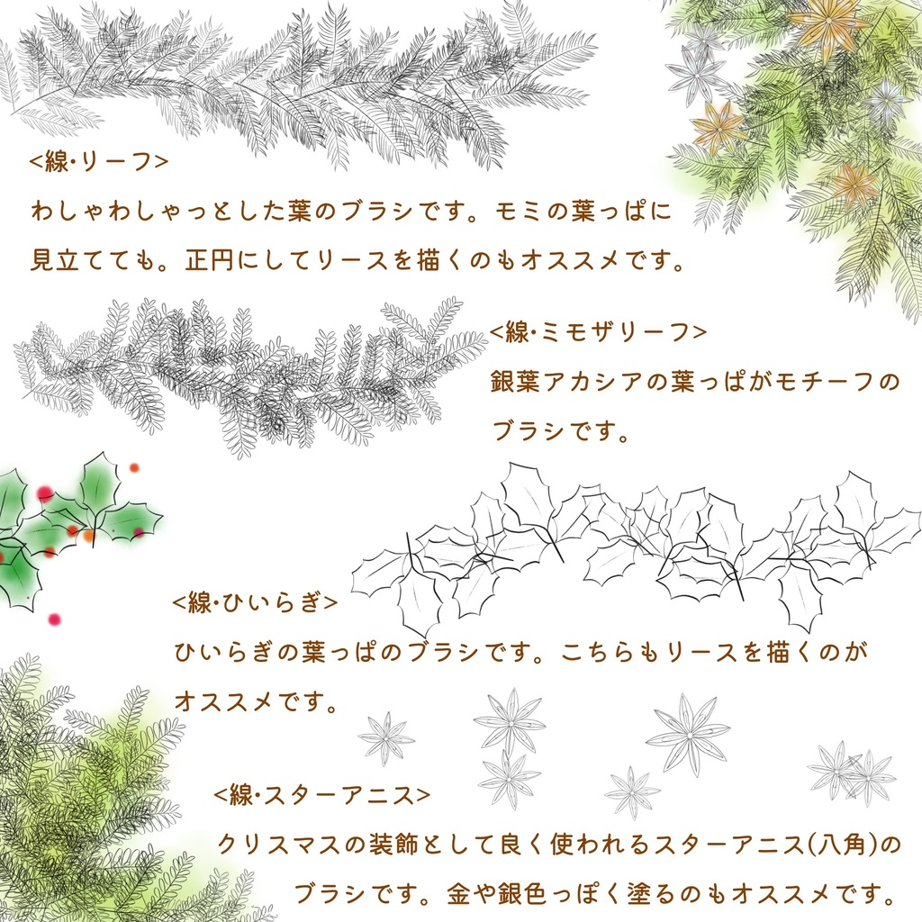 絵になる植物ブラシ(線画)23本セット/procreate専用ブラシ