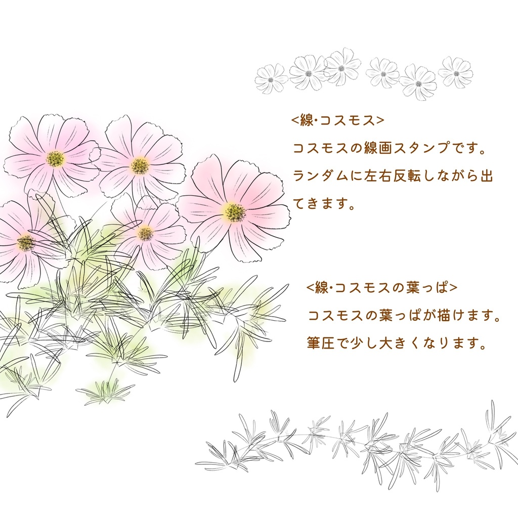 絵になる植物ブラシ(線画)23本セット/procreate専用ブラシ