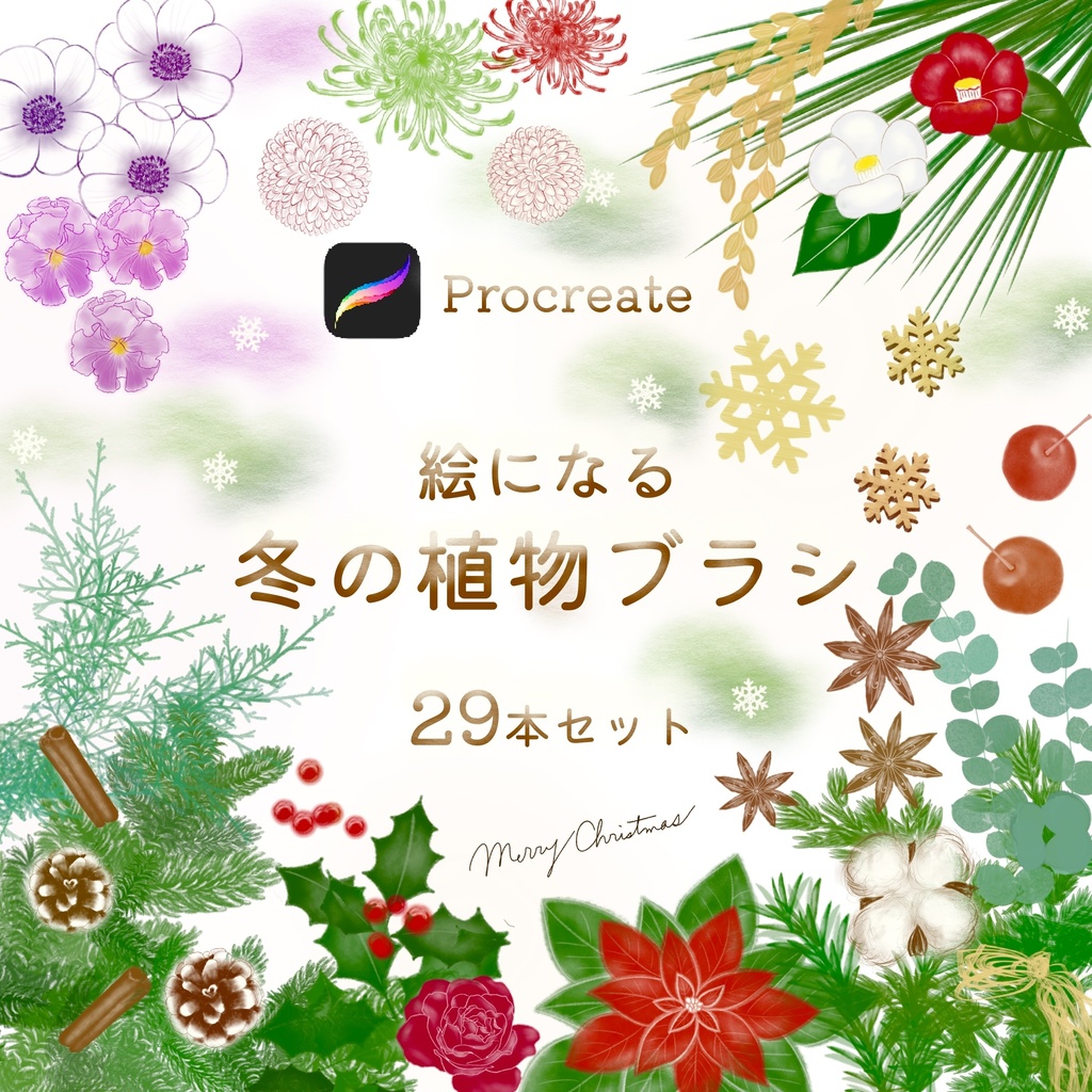 絵になる冬の植物ブラシ29本セット/procreate専用ブラシ