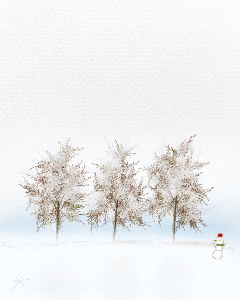 絵になる冬の植物ブラシ29本セット/procreate専用ブラシ