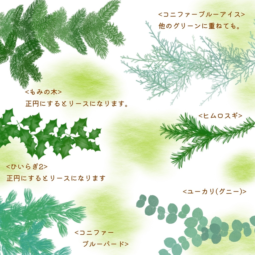 絵になる冬の植物ブラシ29本セット/procreate専用ブラシ