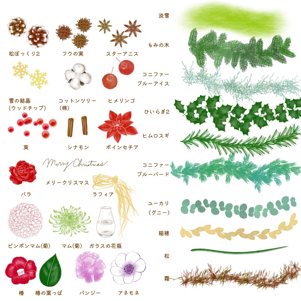 絵になる冬の植物ブラシ29本セット/procreate専用ブラシ