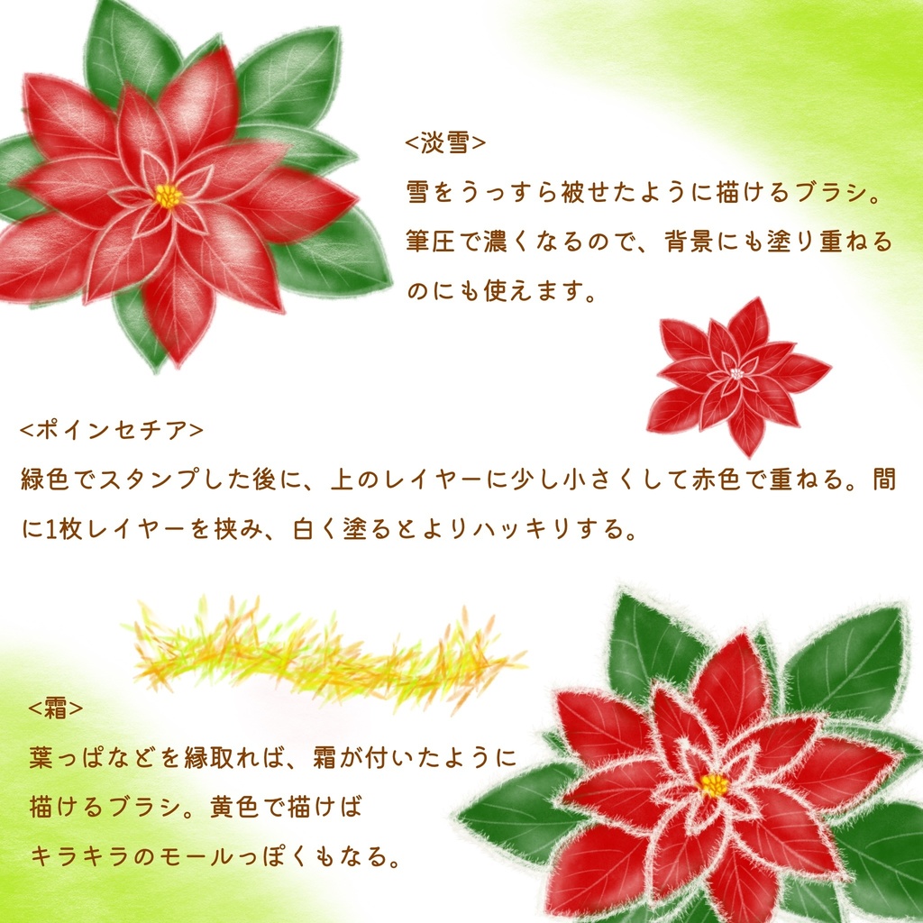 絵になる冬の植物ブラシ29本セット/procreate専用ブラシ