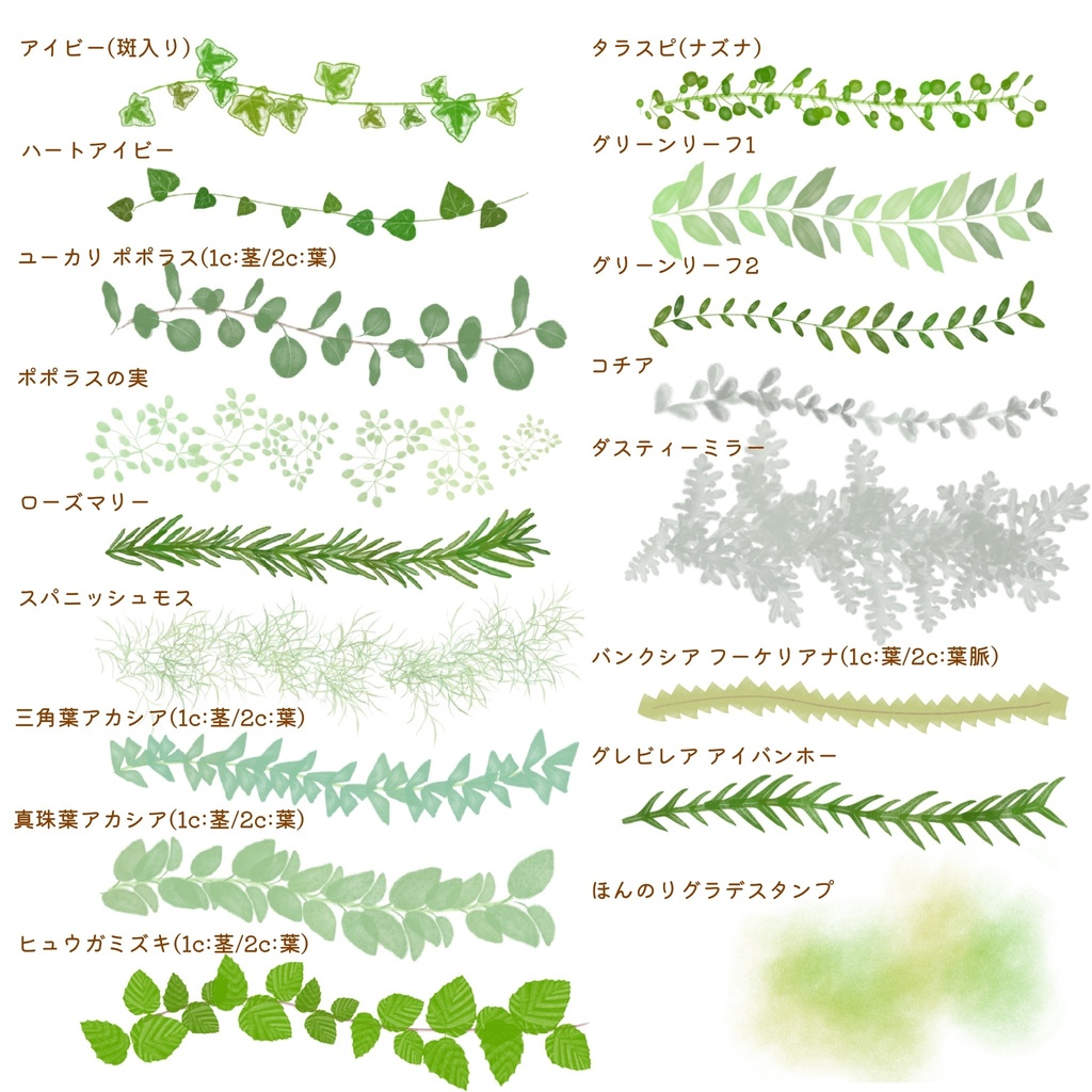絵になる葉っぱブラシ17本セット/procreate専用ブラシ