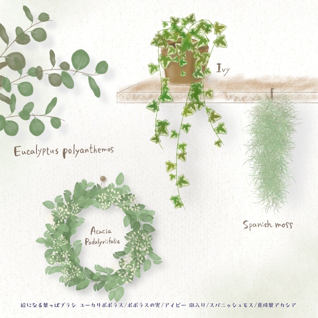 絵になる葉っぱブラシ17本セット/procreate専用ブラシ