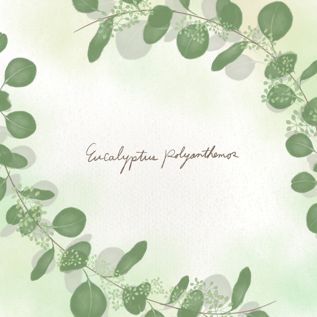 絵になる葉っぱブラシ17本セット/procreate専用ブラシ