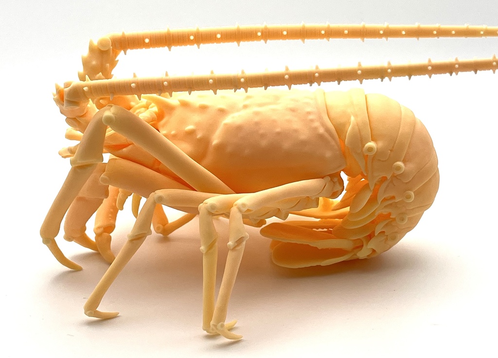 「伊勢海老の自在置物」の3Dデータ