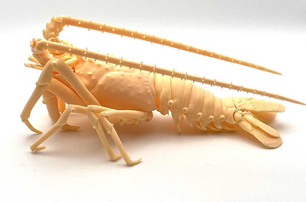 「伊勢海老の自在置物」の3Dデータ