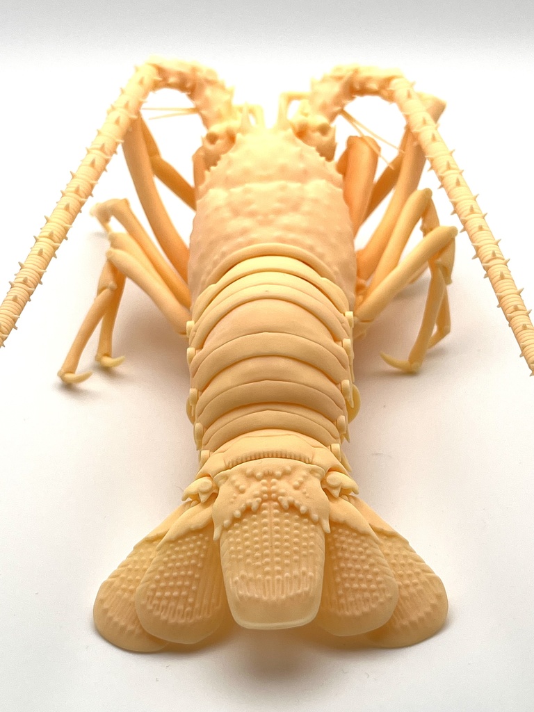 「伊勢海老の自在置物」の3Dデータ