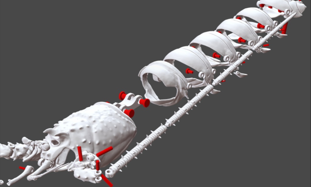 「伊勢海老の自在置物」の3Dデータ