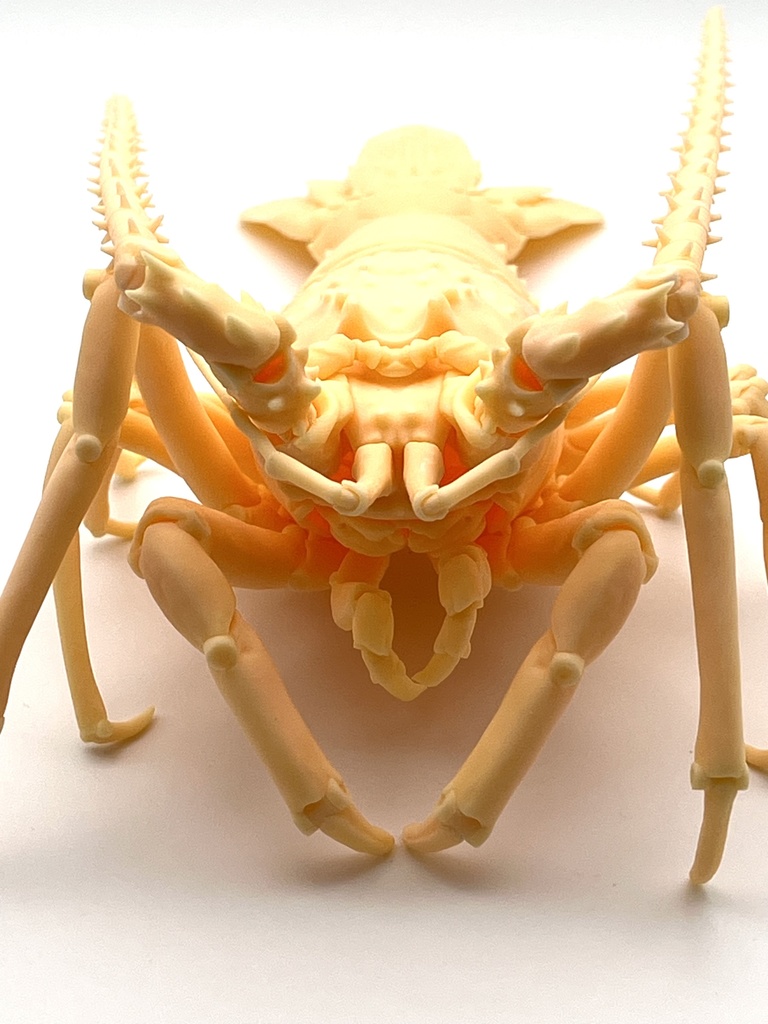 「伊勢海老の自在置物」の3Dデータ