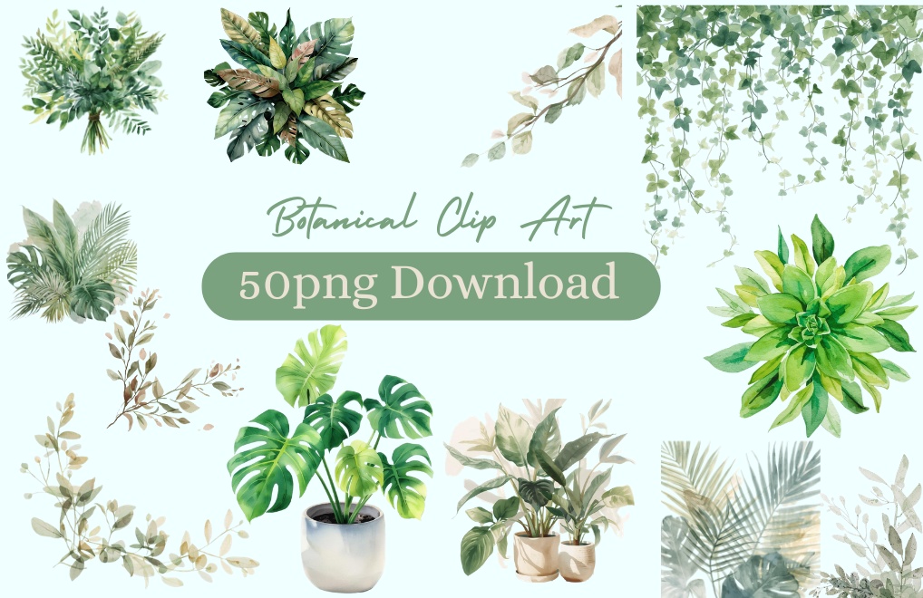 水彩ボタニカル素材集｜観葉植物＆リーフ50点｜PNG透過