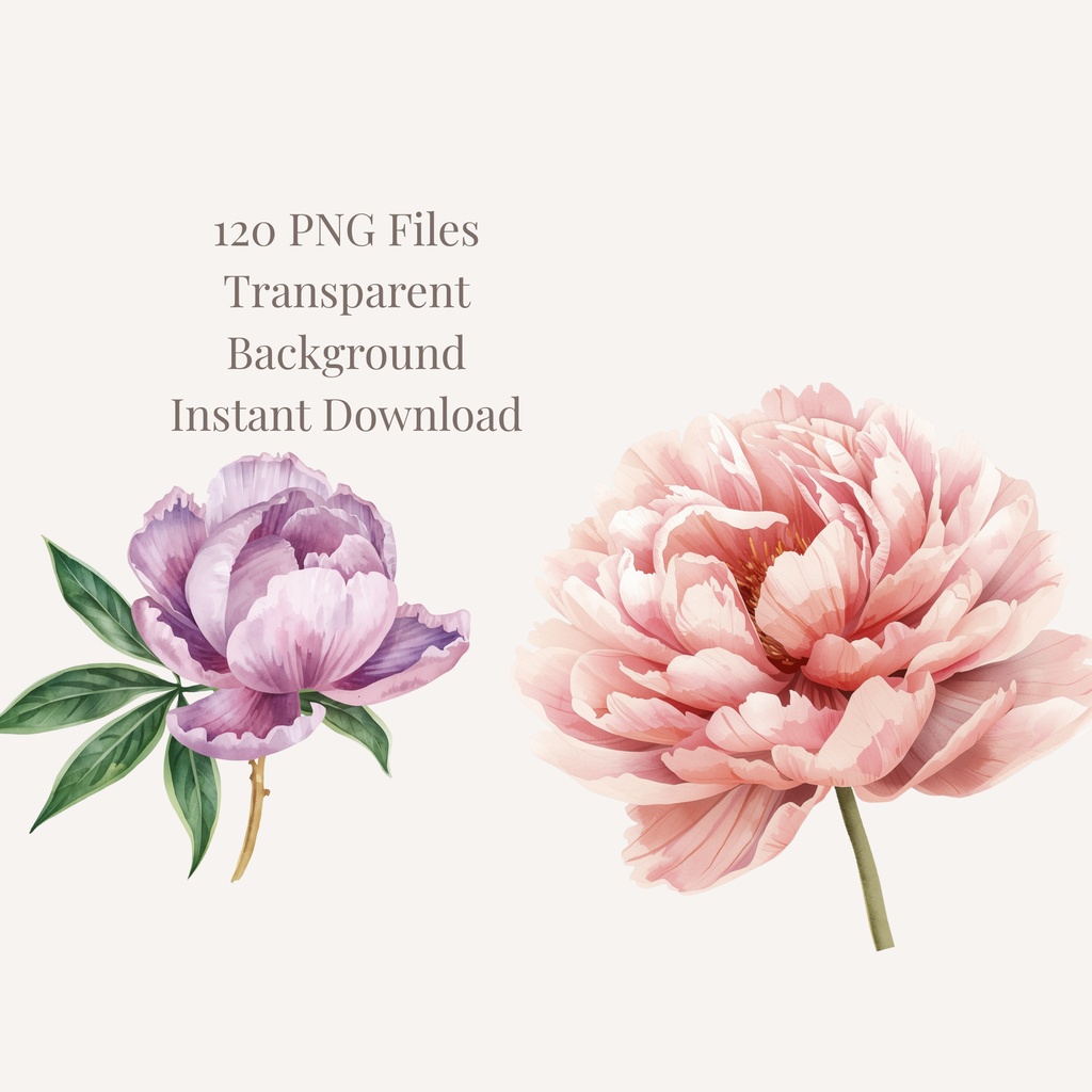 Peony Collection|水彩ピオニークリップアート120点|PNG透過素材集