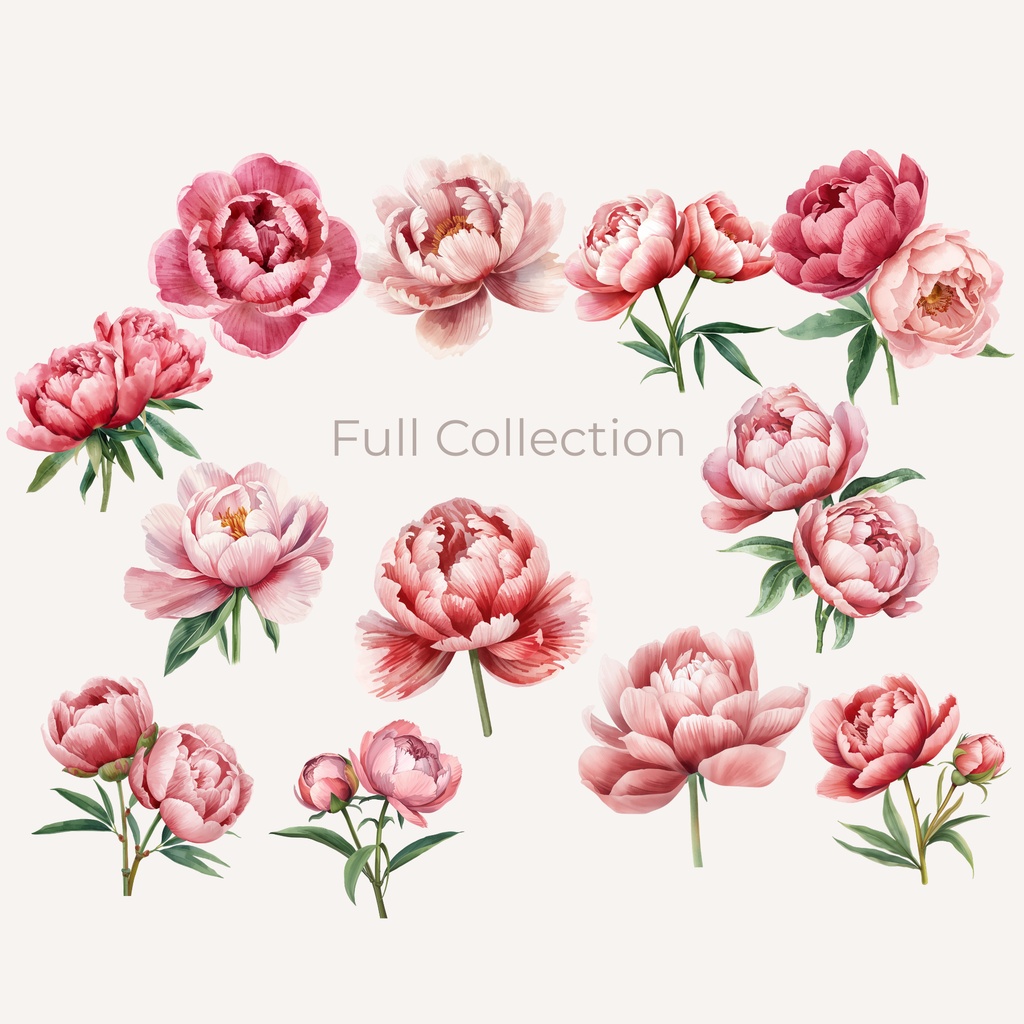 Peony Collection|水彩ピオニークリップアート120点|PNG透過素材集